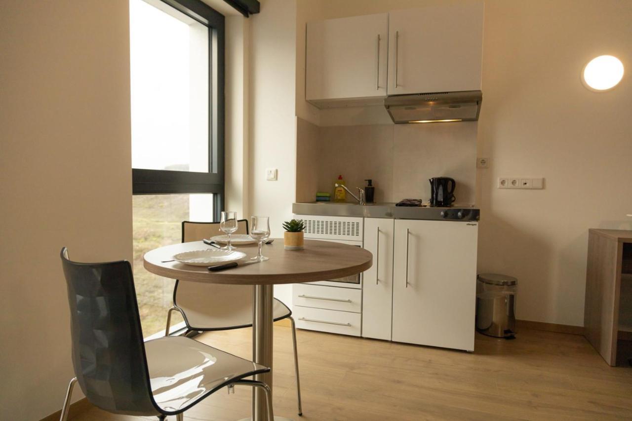 Апартаменты Modern Chic Immaculate Studio Near City Center Belval Есч-Сур-Алзетте Экстерьер фото